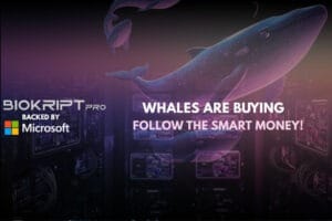 whales buying Microsoft-Backed Biokript Pro Secures 100K Dollars from Google Cloud to Launch the First Solana DEX with Stop-Loss and Rug-Pull Protection