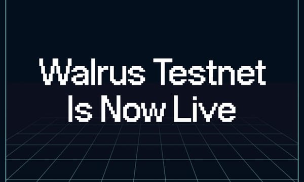 Decentralized Storage Protocol Walrus Launches Public Testnet